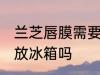 兰芝唇膜需要放冰箱吗 兰芝唇膜可以放冰箱吗