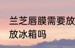 兰芝唇膜需要放冰箱吗 兰芝唇膜可以放冰箱吗