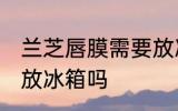 兰芝唇膜需要放冰箱吗 兰芝唇膜可以放冰箱吗