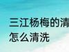 三江杨梅的清洗方法是什么 三江杨梅怎么清洗