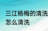 三江杨梅的清洗方法是什么 三江杨梅怎么清洗