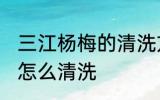 三江杨梅的清洗方法是什么 三江杨梅怎么清洗
