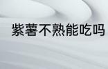 紫薯不熟能吃吗 紫薯不熟能不能吃