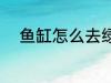 鱼缸怎么去绿垢 鱼缸如何去绿垢