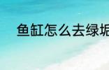 鱼缸怎么去绿垢 鱼缸如何去绿垢