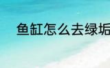 鱼缸怎么去绿垢 鱼缸如何去绿垢