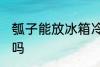 瓠子能放冰箱冷藏吗 瓠瓜可以放冰箱吗