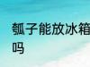 瓠子能放冰箱冷藏吗 瓠瓜可以放冰箱吗