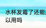 水杯发霉了还能用吗 水杯发霉了还可以用吗