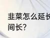 韭菜怎么延长保鲜期 韭菜如何存放时间长？