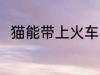 猫能带上火车吗 猫可以带上火车吗