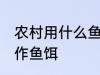 农村用什么鱼钓鱼最好 在农村如何制作鱼饵