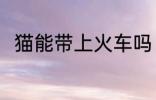 猫能带上火车吗 猫可以带上火车吗