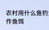 农村用什么鱼钓鱼最好 在农村如何制作鱼饵