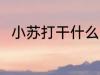 小苏打干什么用 小苏打的四个妙用
