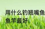 用什么钓翘嘴鱼最好 钓翘嘴鱼用什么鱼竿最好