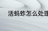 活蚂蚱怎么处理 活蚂蚱如何处理