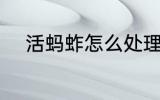 活蚂蚱怎么处理 活蚂蚱如何处理