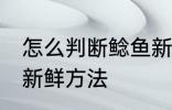 怎么判断鲶鱼新不新鲜 判断鲶鱼新不新鲜方法