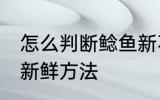 怎么判断鲶鱼新不新鲜 判断鲶鱼新不新鲜方法